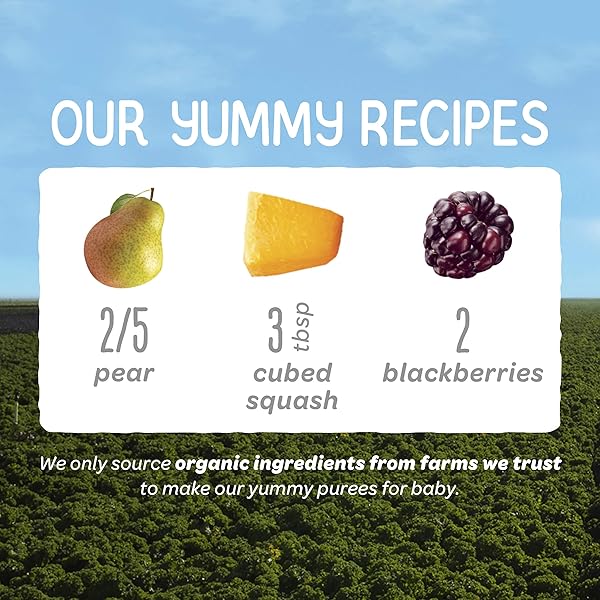 HAPPY BABY ORGANICS STAGE 2 BABY FOOD POUCHES, GLUTEN FREE, VEGAN & HEALTHY SNACK, CLEARLY CRAFTED FRUIT & VEGGIE PUREE, PEAR SQUASH & BLACKBERRIES, 4 OUNCES (PACK OF 1)