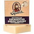 Dr. Squatch All Natural Bar Soap for Men with Medium Grit, Eucalyptus