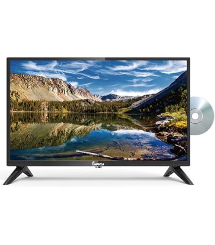 Amazon.com: Panasonic PV-C1352W 13-Inch TV/VCR Combo , White