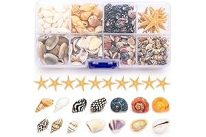 DEAUEPU Premium Tiny Seashell Mix, Including Sea Shells, Sea Snails and Starfish Total 300+PCS (8 Kinds), Shells for Crafts Decorating Resin and Mosaics Projects DIY Crafts Home Decor Beach Themed Party