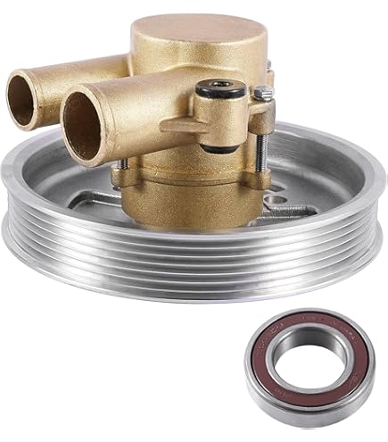 Amazon.com: LSSOCH New Raw Sea Water Pump 21212798 3812522