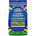 Pennington 100547362 Lawn Booster Tall Fescue Grass Seed Mix 9.6 Pounds, Black Label