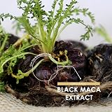 ALPHA01 Organic Black Maca Root 15000mg 90 Vegan Capsules view 4