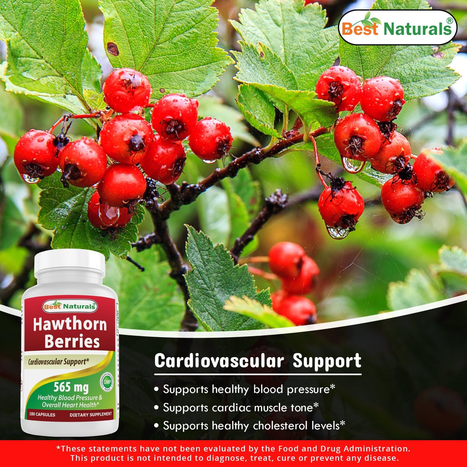 Best Naturals Hawthorn Berry 565 mg 180 Capsules - DailyNutriFood LLC