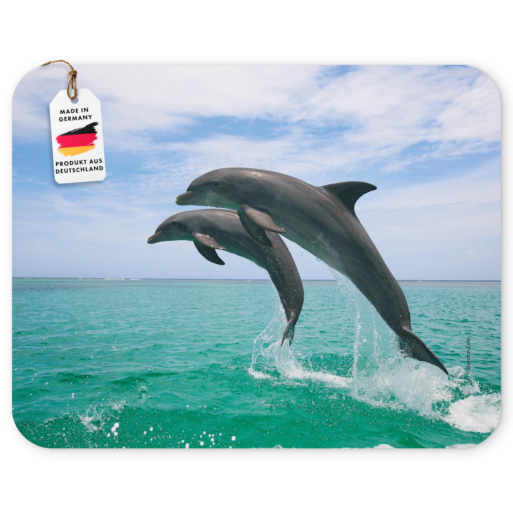 Edition Colibri Jumping Dolphin Motif 21 Animal Mouse Mat Quality Mouse Pad Made From a Special Extremely Tear-Resistant Rubber with Strong Adhesive Backing for Optimum Grip