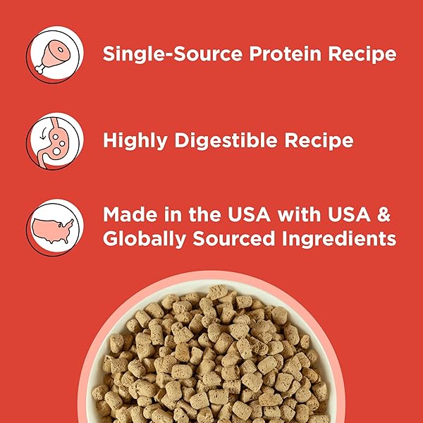 BIXBI RAWBBLE FREEZE DRIED CAT FOOD, BEEF RECIPE, 10 OZ – 97% MEAT AND ORGANS, NO FILLERS – PANTRY-FRIENDLY RAW CAT FOOD FOR MEAL, TREAT OR FOOD TOPPER – USA MADE IN SMALL BATCHES
