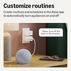 Amazon Basics Smart Plug, Works with Alexa