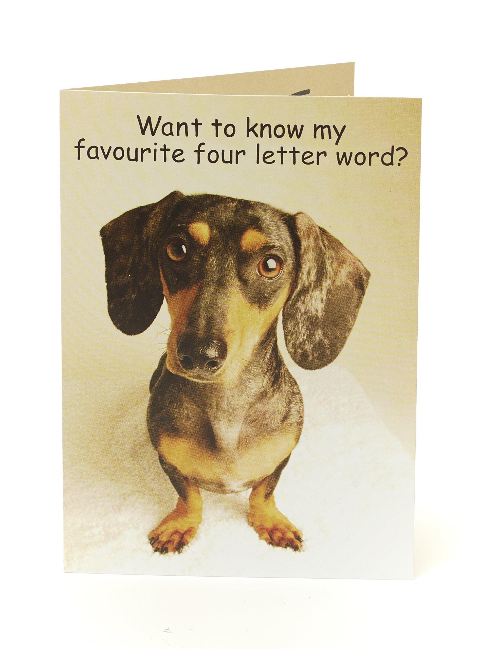 UK Greetings Funny Birthday Card - Birthday Card for Him - Funny Dog - Birthday Card for Her - Birthday Card Friend - Humorous Card - Funny Birthday Card Friend Adult 788327-0-1
