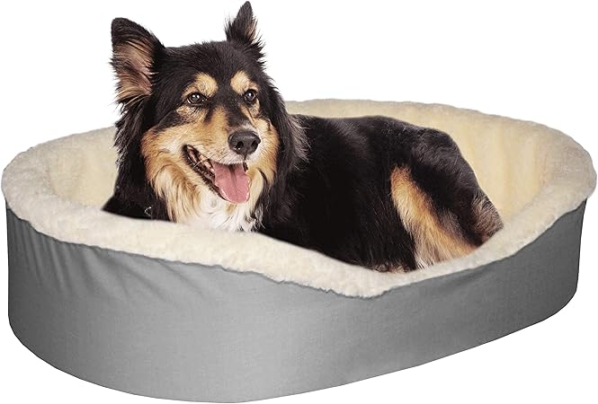 large cuddler dog bed