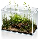 10 Gallon Glass Fish Tank Open-Back Lid, Aquarium Fish Bowl Cube for Betta Goldfish Snails Shrimp Aquatic Planting, Ultra Clear Rimless Low Iron