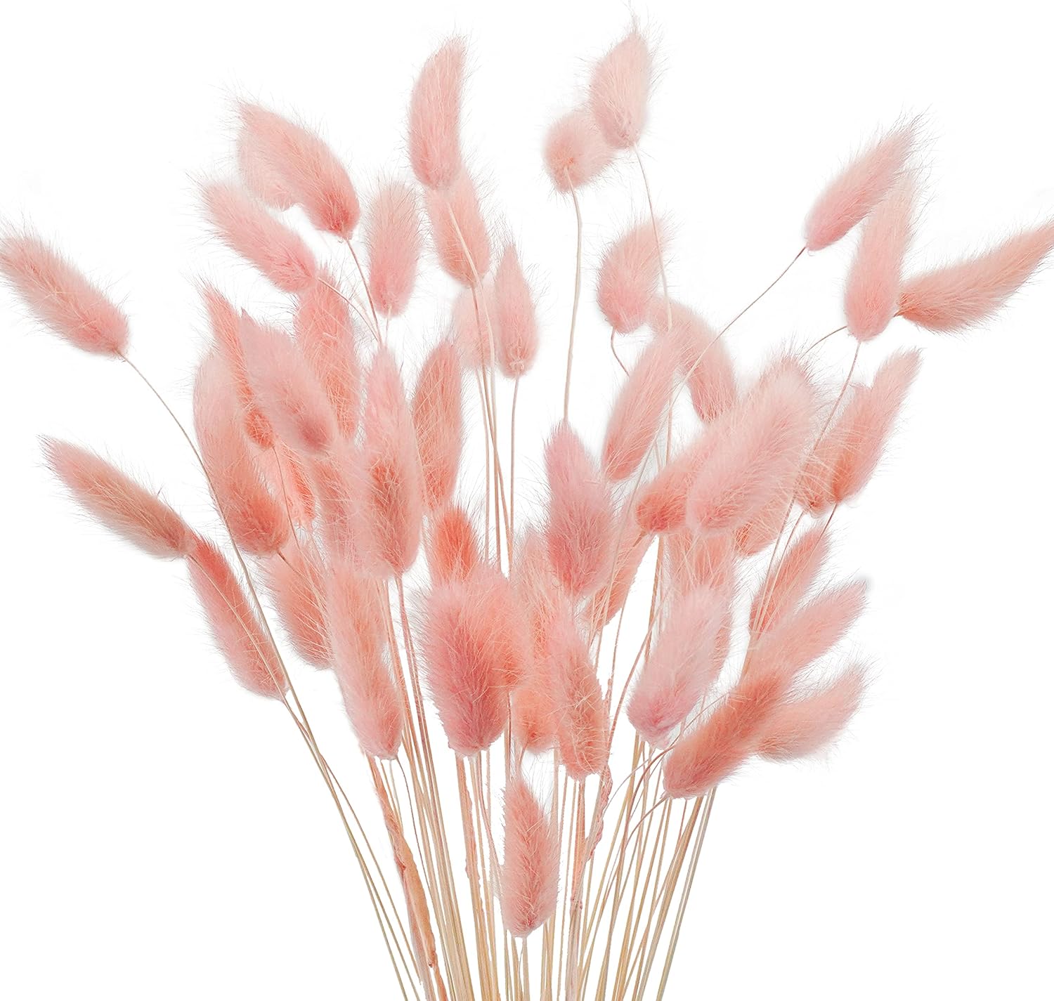 Dried & Preserved Flora - Uieke 17’’ Natural Bunny Tails Dried Flowers, 50 Pcs Dried Lagurus Ovatus, Dried Pink Pampas Grass Decor for Farmhouse Flower Arrangements Wedding Home Boho Party Decorations