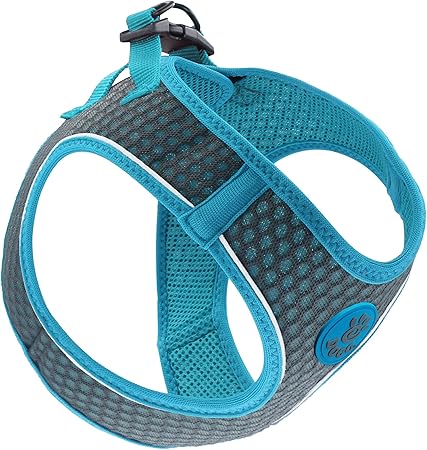 perfect fit harness amazon