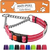 CollarDirect Martingale, Steel Chain, Reflective (L, 17-22", Pink) | Heavy Duty Nylon Slip Collar, Stainless Steel Chain, Quick Release Buckle, Reflective, for Small to Large Dogs