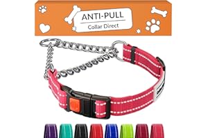 CollarDirect Martingale Dog Collar with Stainless Steel Chain and Quick Release Buckle - Reflective Collar for Large, Medium, Small Dogs - Pink, Large (Neck Size 17"-22")