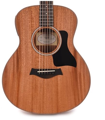Amazon.com: Taylor GS Mini-e Rosewood Plus : Musical Instruments