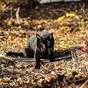 カスタマー画像