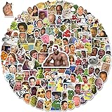 LIFEBE 250 PCS Funny Meme Stickers, Interesting Vinyl Laptop Decals for Adults Kids Teachers,Waterproof Vine Sticker Pack Sui