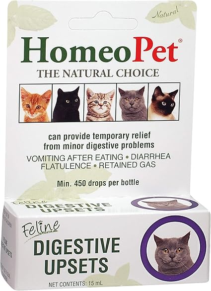 cat gastroenteritis home treatment
