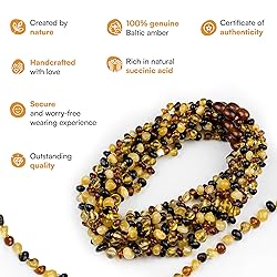 Amber Guru Baltic Amber Necklace