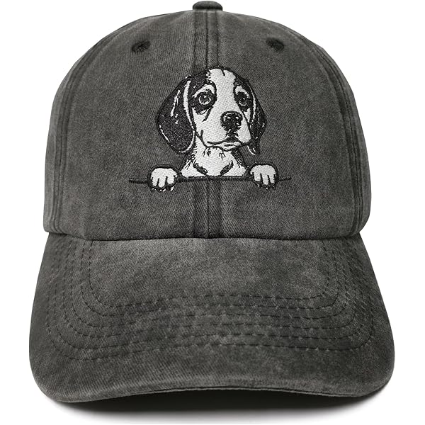 Gorras Ranch Y Corral Cruce De Pastor Australiano Y Border Collie