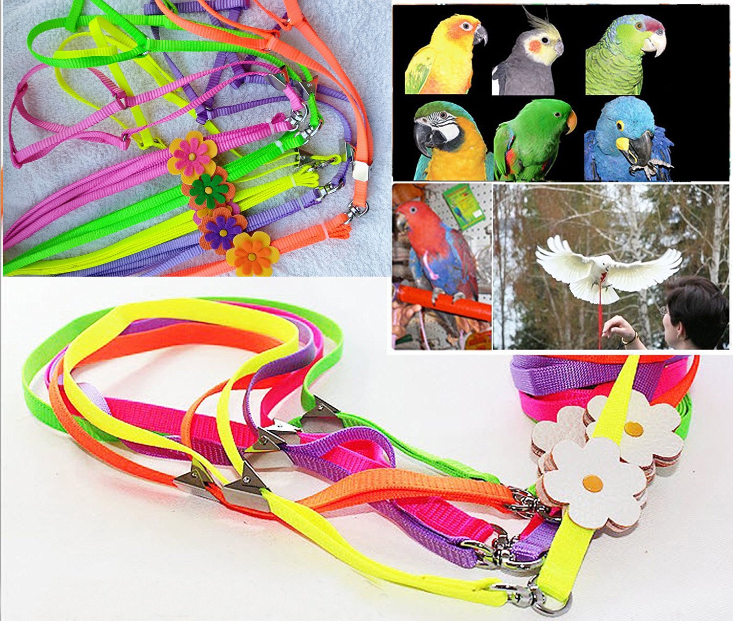 Hypeety Beauty Parrot Adjustable Bird Harness and Leash Anti-bite for Bird Parrot African Grey Cockatoo Macaw Ringneck Parakeet Cockatiel(1Pcs Random Color)