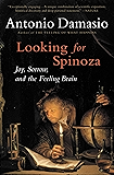 Looking for Spinoza: Joy, Sorrow, and the Feeling Brain