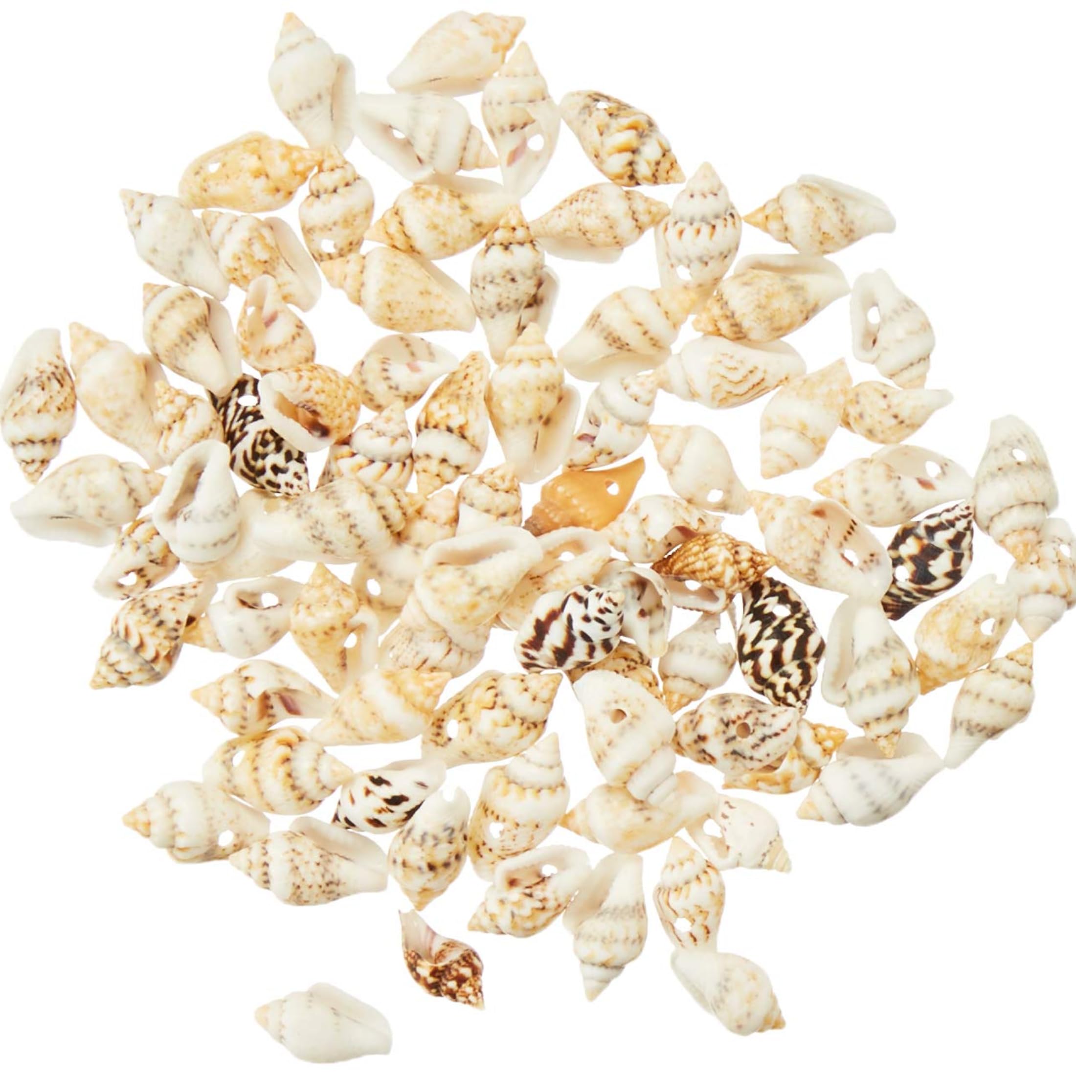 Baker Ross EF610 Mini Natural Craft Shells (Pack of 200) Bag of Seashells For Kids Arts and Crafts