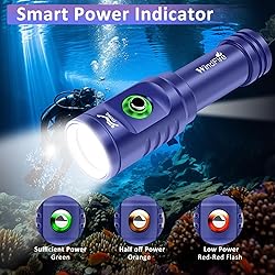 WINDFIRE TS08 Scuba Diving Flashlight, Super Bright