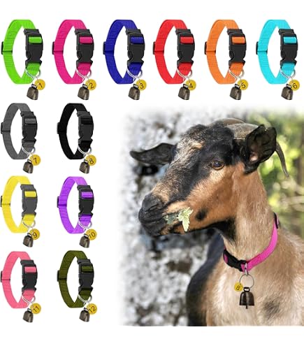 Goat Show Collar Set – Adjustable Nylon Livestock Collar With Anti-Lost Loud Grazing Bell, 14.3"–20.7" Fit, For Goats, Sheep & Calves – Farms & Ranches