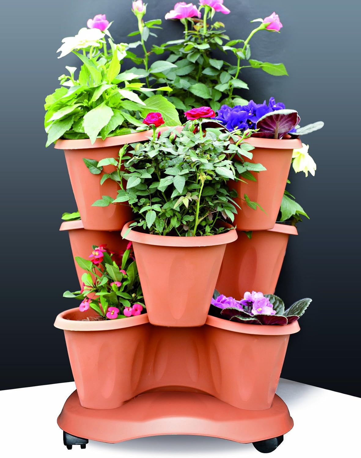 Bama Maceta, Planta y Plato con Ruedas Trifoglio, 3 Piezas ...
