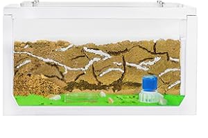 AntHouse - 3D Sand Ant Hill | White Starter Kit 7.87 x 3.94 x 3.94 in | Ant Farm