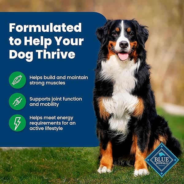 BLUE BUFFALO LIFE PROTECTION FORMULA ADULT DRY DOG FOOD, HELPS BUILD AND MAINTAIN STRONG MUSCLES, MADE WITH NATURAL INGREDIENTS, LAMB & BROWN RICE RECIPE, 5-LB. BAG