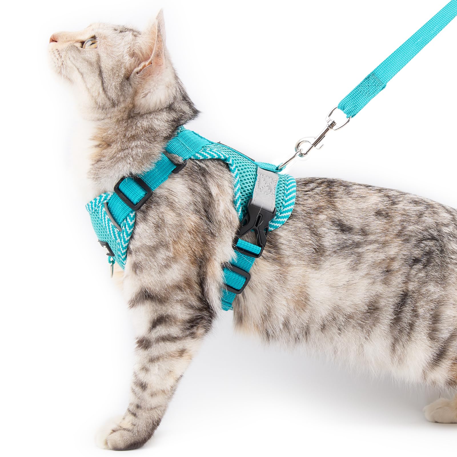 Photo 1 of pangdi Cat Harness and Leash Escape Proof Extra Large Kitten Harness Maine Coon Cat Vest for Walking Travel, Turquoise, XL