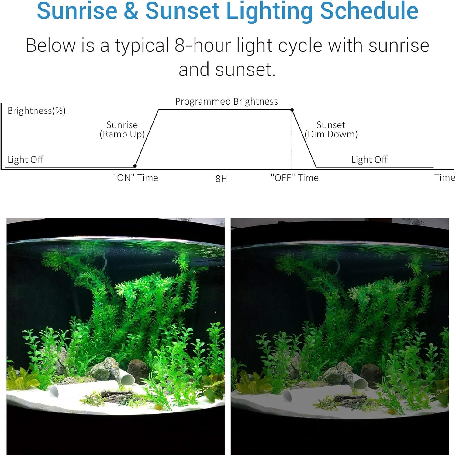 NICREW Aquarium Light Timer&Dimmer, Easy to Program Fish Tank Light