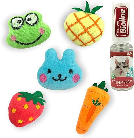 Croc Cat Ensemble 5 Pieces Jouets A L Herbe A Chat Spray Cataire Jouet Chat Peluche Catnip Interactive Jouets A Macher Pour Chaton Kitty Chat Pas Cher Pour Animaux Naturel Amazon Fr Animalerie