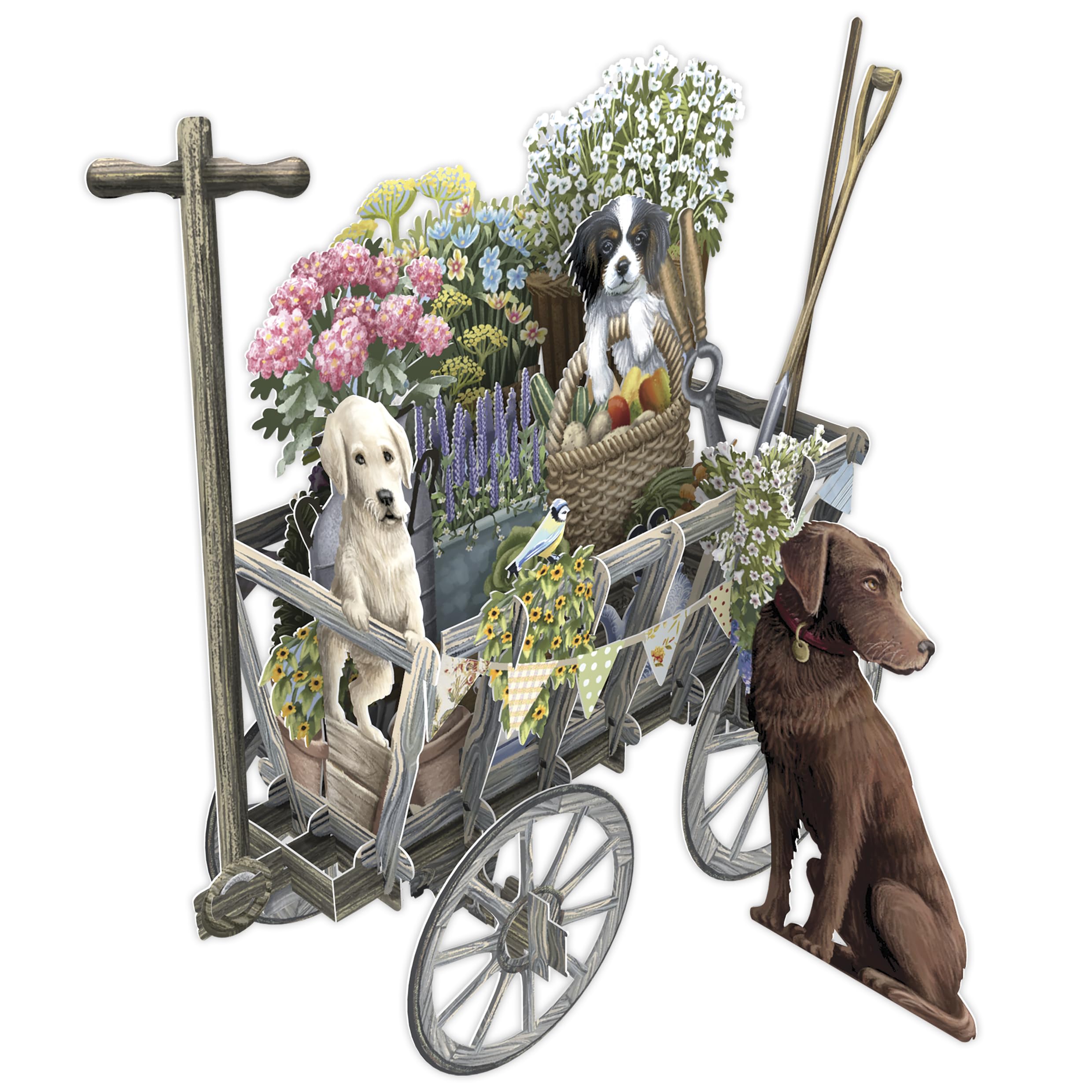 Goat Cart - 3D Pop Up Greeting Card with Large Message Tag - 3D041