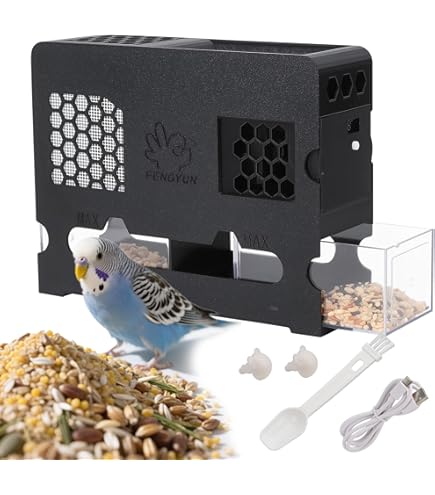 Bird Seed Husk Separator Machine - Small Grain Winnower For Millet, Parrot Food, Easy Cleaner - View #10