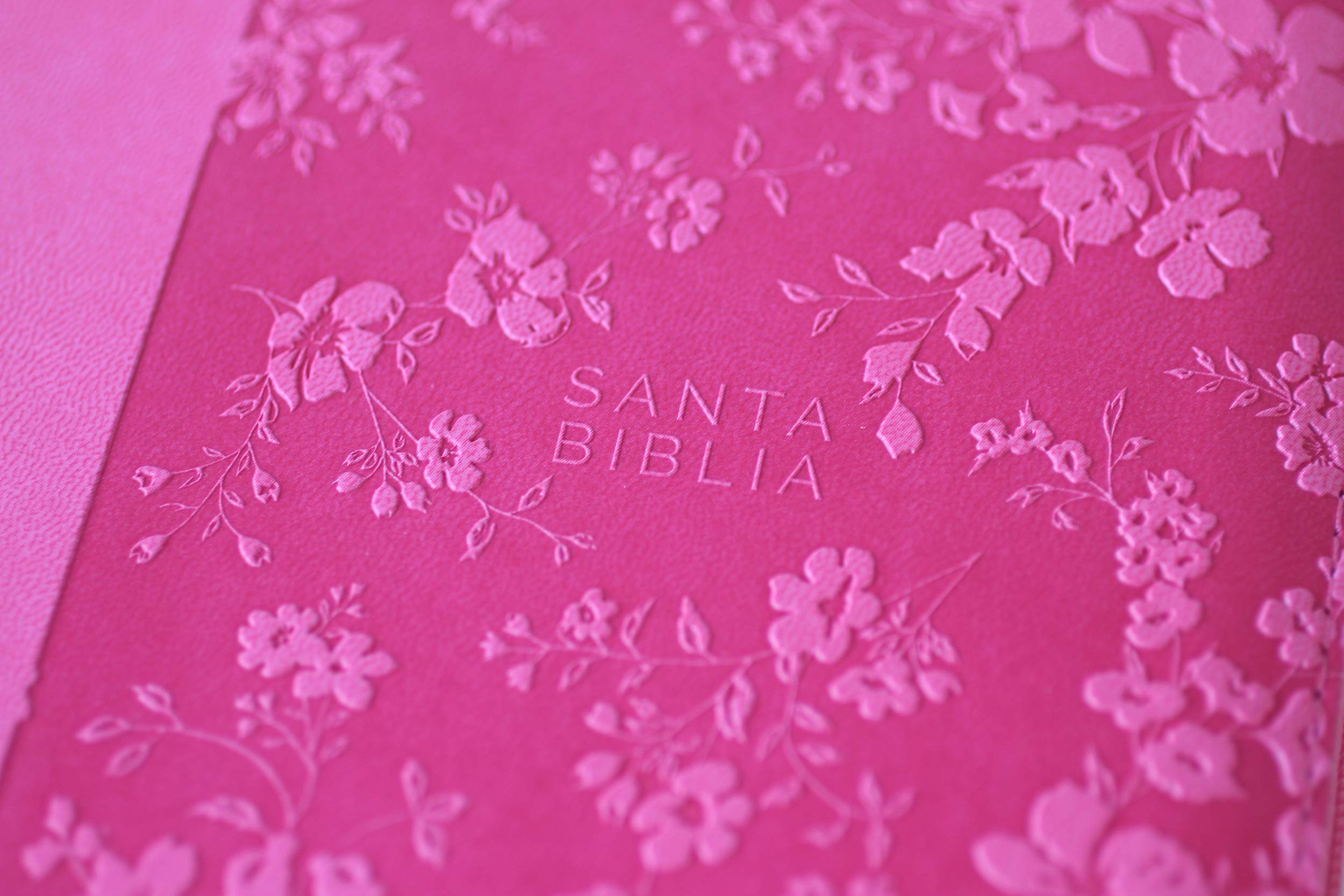 Biblia Reina Valera 1960 letra grande. Símil piel fucsia, cremallera, índice, manual / Spanish Bible RVR 1960. Handy Size, Large Print, Leathersoft (Spanish Edition)