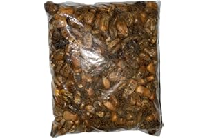 Maiz Tostado Para Elegua Roasted Corn For Elegua Santeria Ifa Osha 1/4 lb