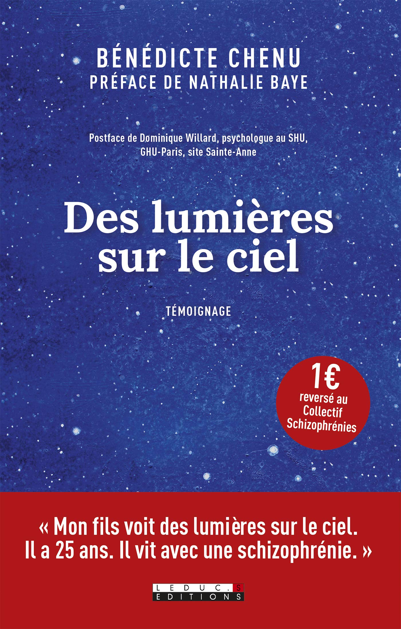 Amazonfr Des Lumières Sur Le Ciel Bénédicte Chenu