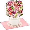 Hallmark Paper Wonder Pop Up Mothers Day Card (Bouquet of Tulips)