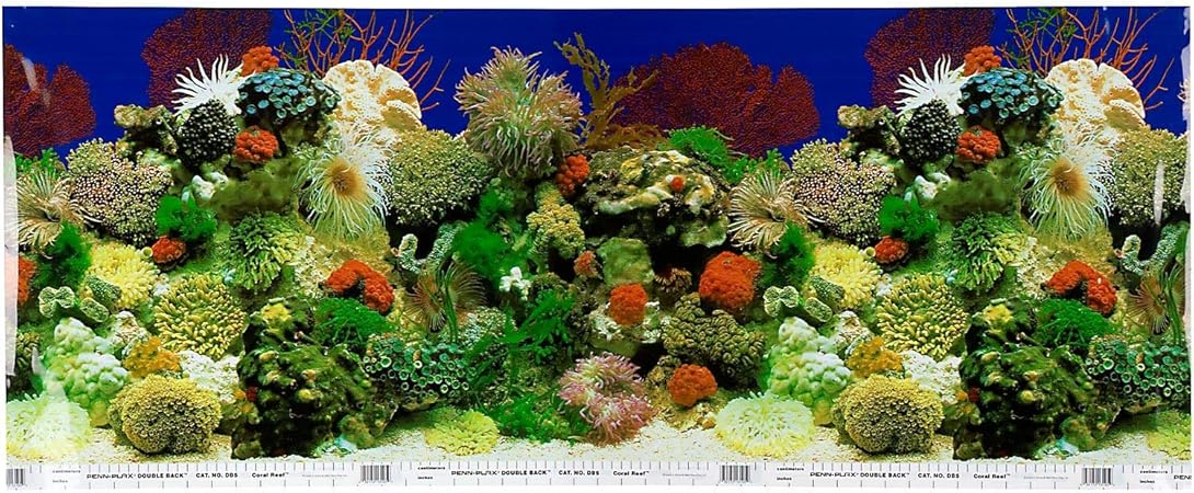 Amazon Com Petco Double Sided Aquarium Background 3 Lbs Multi