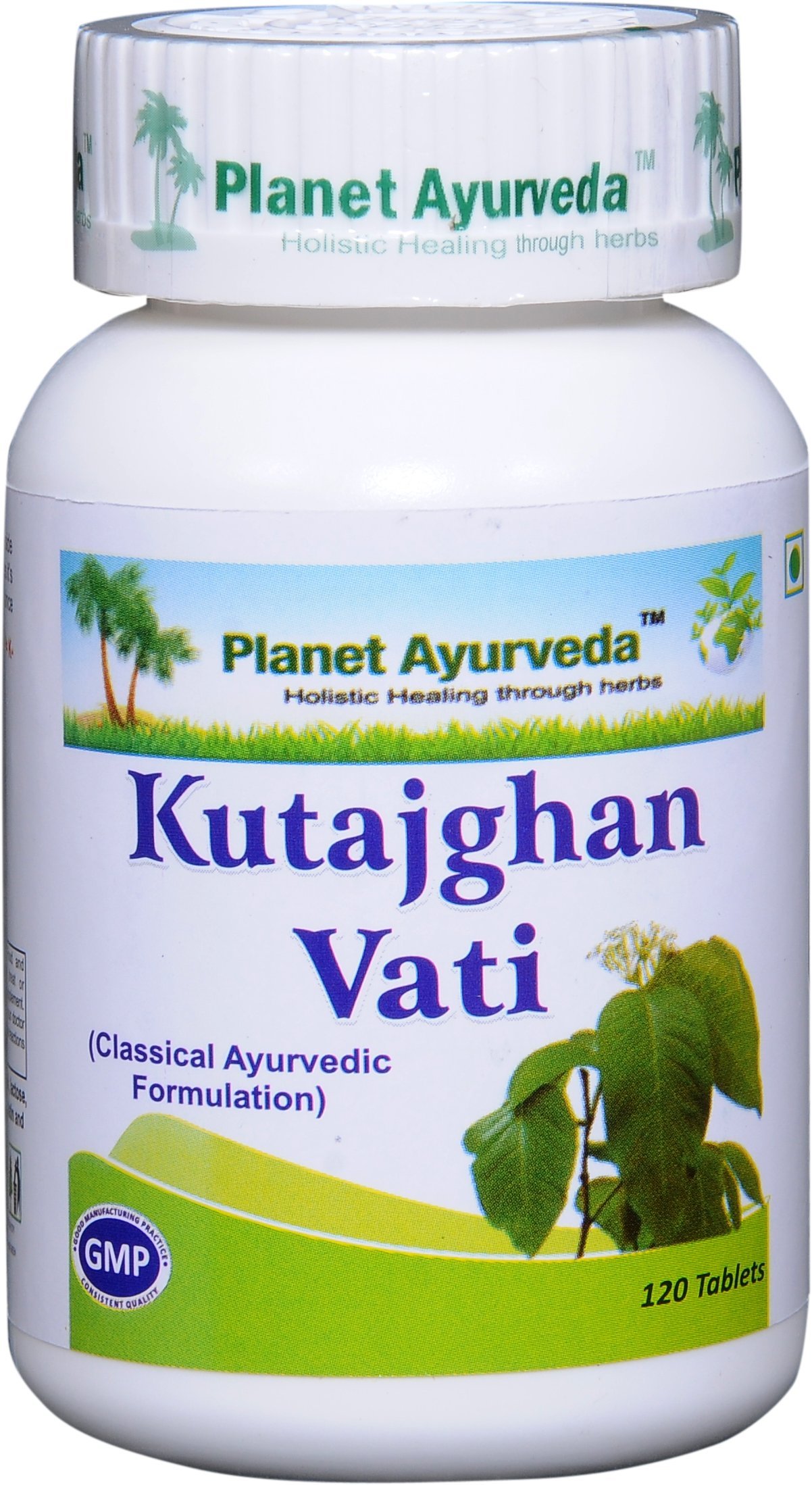 Ayurveda Kutajghan Vati Herbal Tablets, 100 Natural 2 Bottles (Each Bottle contains