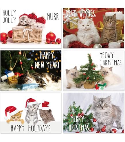 Brainbox Candy Carte De Noël Grossière – « Eat Mince Pies Sh