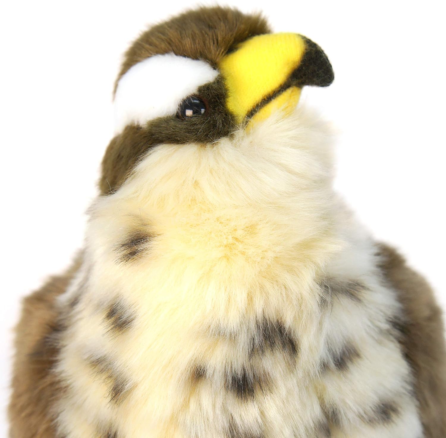 stuffed peregrine falcon