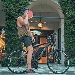 Jasion EB5 Electric Bike for Adults with Peak 500W