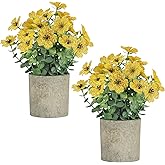 2 Pack Small Fake Plants Potted Artificial Plants Artificial Flowers Potted Faux Flower Daisy with Eucalyptus Leaves for Home Decor Office Room Farmhouse Indoor Table Bathroom Decor(Yellow)