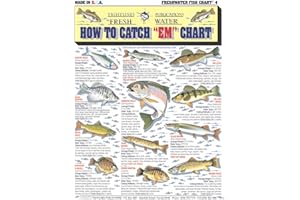 TIGHTLINES PUBLICATIONS Freshwater Fish Identification Chart #4 - Waterproof Quick Reference Fishing Guide - Species ID + Fishing Methods - Double-Sided & Easy to Read - Great Gift for Beginners