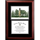 Cornice Per Diploma University Of Washington, In Legno, Misure 23,25 X 29,75 Pollici, Fatta A Mano Negli USA