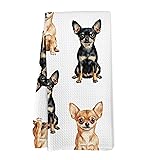Yorhifa Chihuahua Dog Kitchen Dish
